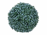 Zimostráz - Buxus koule modrá, 22cm